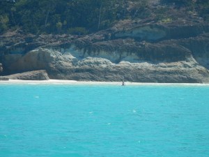 No dog on this paddle board!