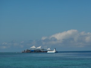 Reef World - Hardy Lagoon