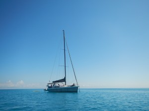 JoliFou in Hardy Lagoon