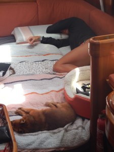 Silus and Lyn, Off Watch!