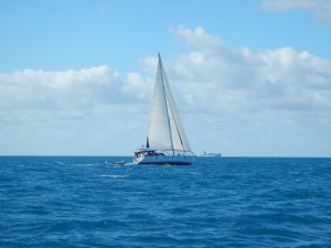 Heading to Bait Reef